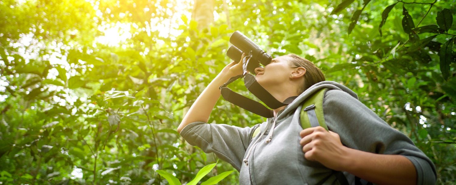 A woman looking through binoculars during a birding tour A woman looking through binoculars during a birding tour