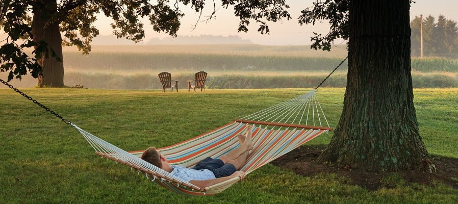 hammock under tree on the property of HideAwayInn.com