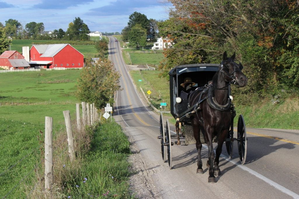 horse and buggy in amish country ohio; amish country ohio attractions