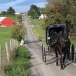 horse and buggy in amish country ohio; amish country ohio attractions