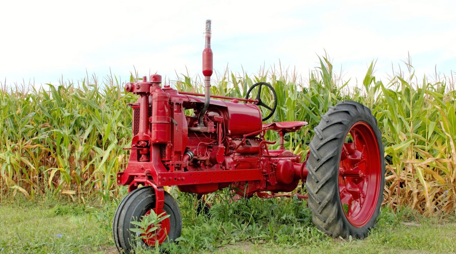 Antique red tractor in front of a corn field at the Oak Ridge Festival