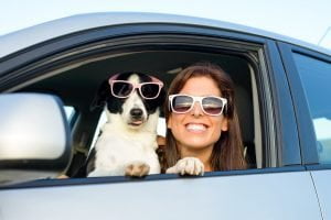 Woman with dog in car: Brush up on your driving skills at the Mid-Ohio Driving School