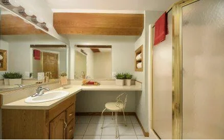 View of the Bathroom in the Eagle's Nest Suite
