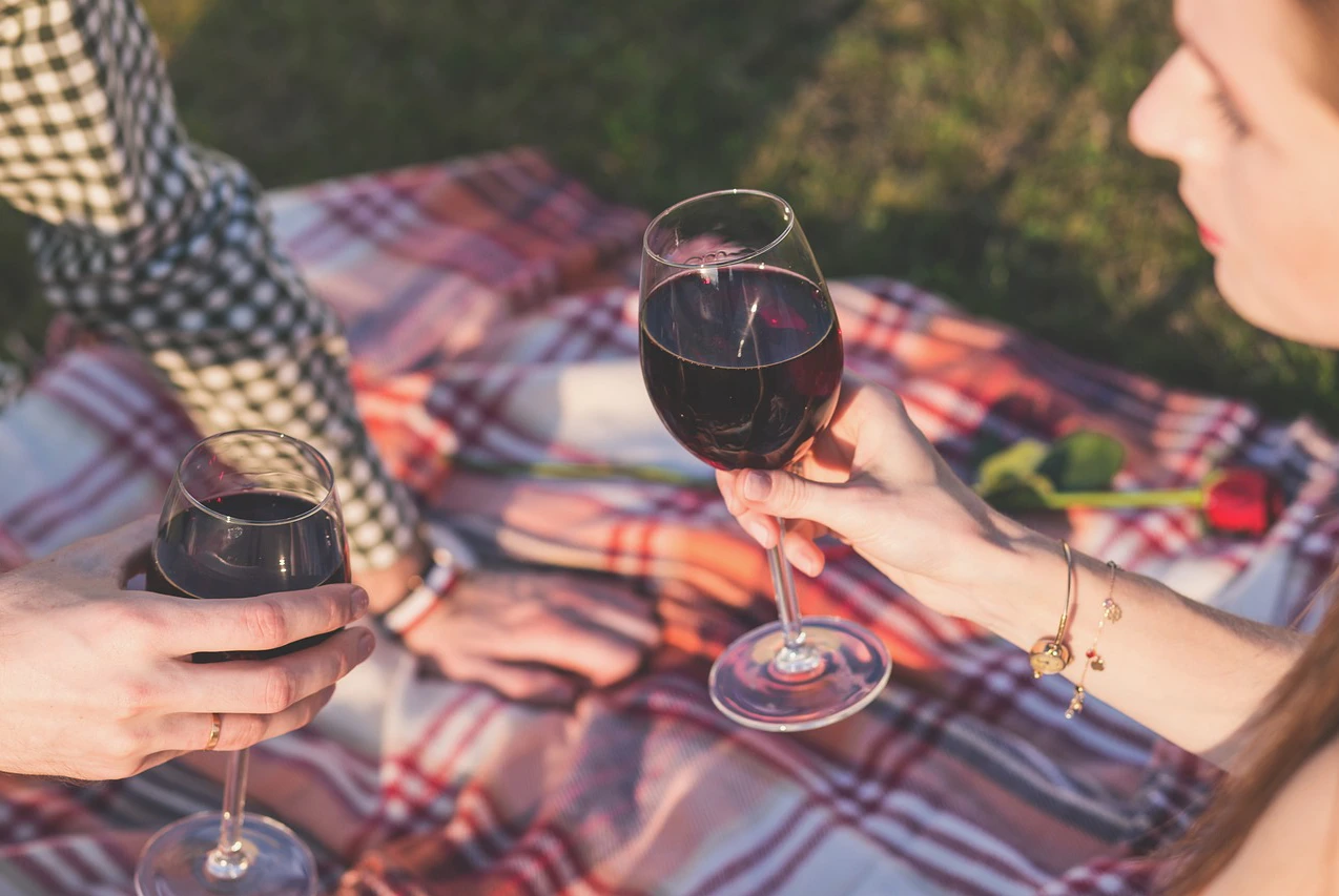 couple outdoors on a picnic blanket holding wine glasses